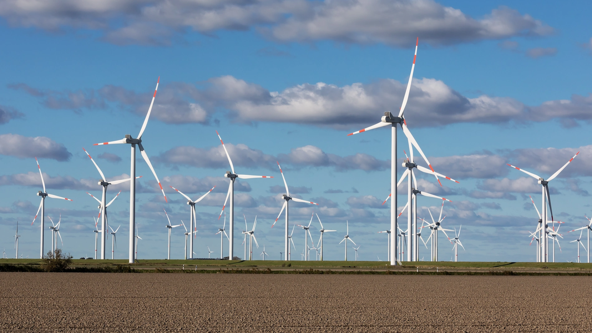 Windpark in Nordfriesland, Schleswig-Holstein, Deutschland
